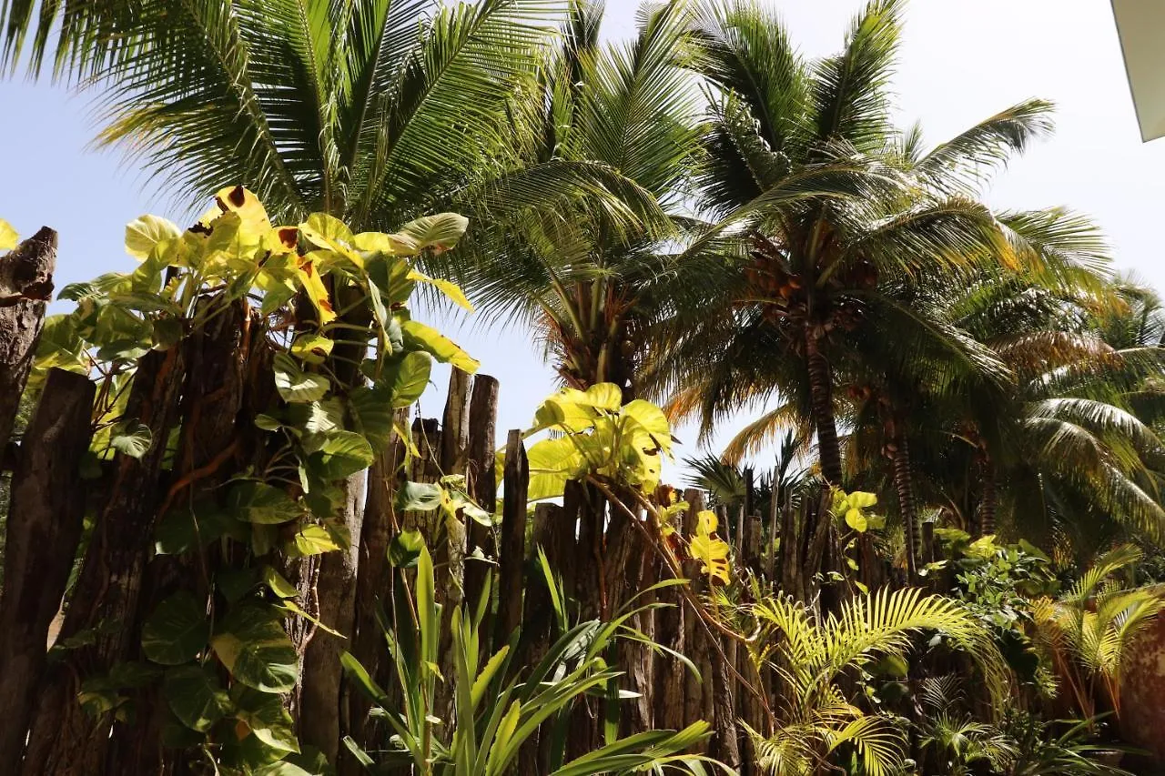 Hotel Andrea'S Tulum