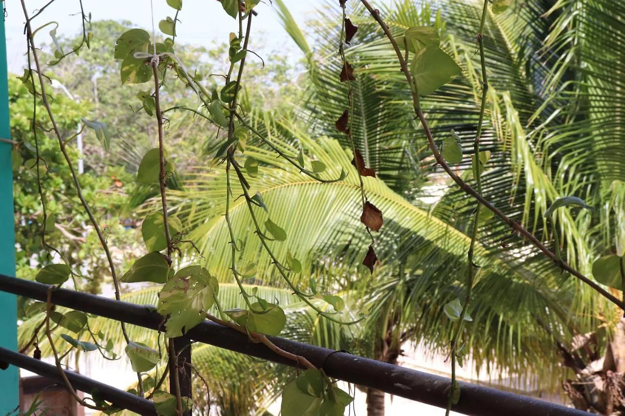 ***  Hotel Andrea'S Tulum Mexiko